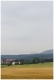 MG_1957-20200716