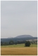 MG_1958-20200716