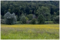 MG_1985-20200716