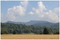 MG_1994-20200717