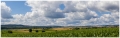MG_1818-Pano