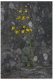 CRW_0642