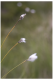 CRW_0651