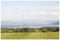 CRW_2019