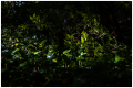 MG_8050-2