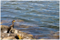 MG_8277-3