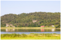 MG_8293-2