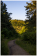 MG_8360-2
