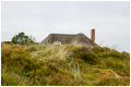 MG_8487-2
