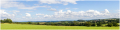 MG_7346-Pano