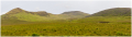 MG_6672-Pano