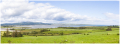 MG_6318-Pano