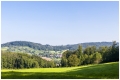 MG_2004-20210719