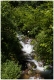 MG_2018-20210719