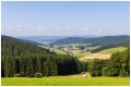 MG_2094-20210721