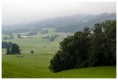 Tag_3-2011
