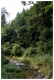 Tag_4-2039