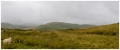 MG_0574-Pano