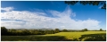 MG_9787-Pano