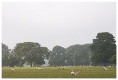 CRW_6418