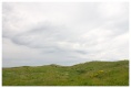 CRW_6621
