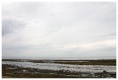 CRW_6644