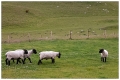 20080624-CRW_6958-Bearbeitet