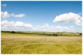 20080626-CRW_7040-Bearbeitet
